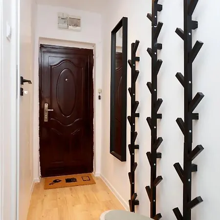 Apartment Comfort Concept Studio Bucharest